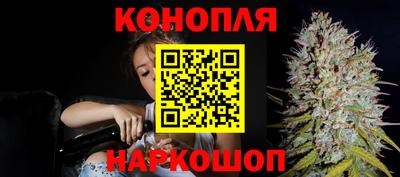 сатива Вязники